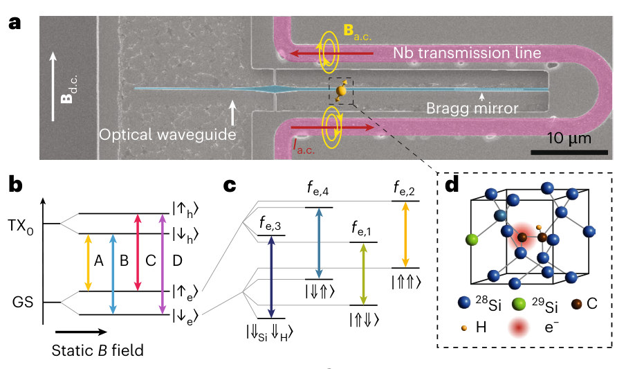 Figure from Entanglement of a nuclear spin qubit register in silicon photonics
