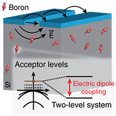 Figure from Acceptor-Induced Bulk Dielectric Loss in Superconducting Circuits on Silicon